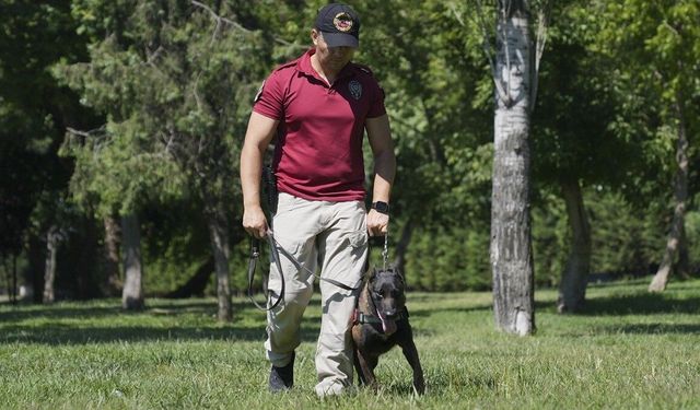İstanbul polisi 2,5 yılda 27 bin 246 kayıp kişiyi ailelerine kavuşturdu