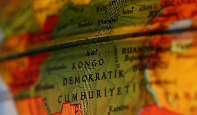 Kongo Demokratik Cumhuriyeti yağmur ormanlarında yeni maymun türü keşfedildi