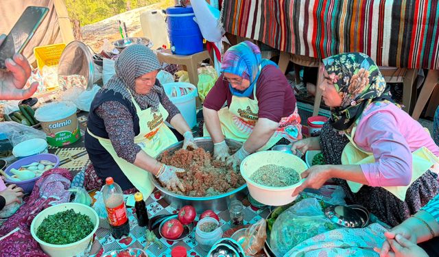 Mersin'de '2. Gülnar Batırık Festivali' düzenlendi