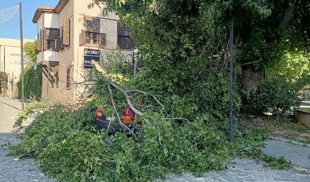 Mersin'de kuvvetli rüzgar etkili oluyor
