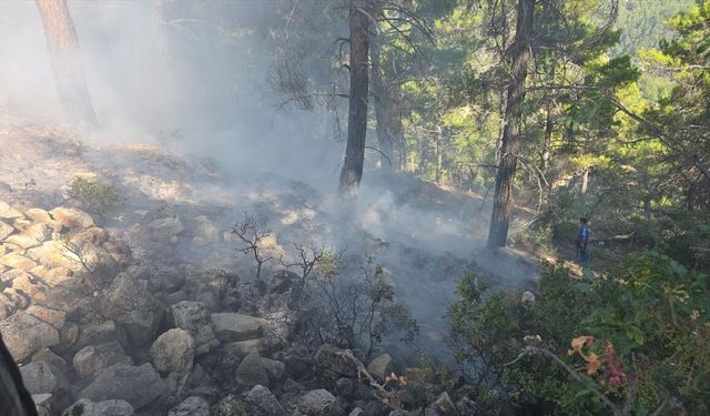 Mersin'de ormanlık alanda çıkan yangın söndürüldü
