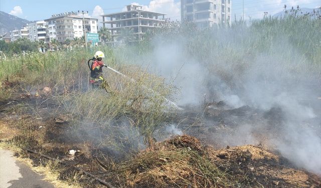 Mersin'de sazlık alanda çıkan yangın söndürüldü