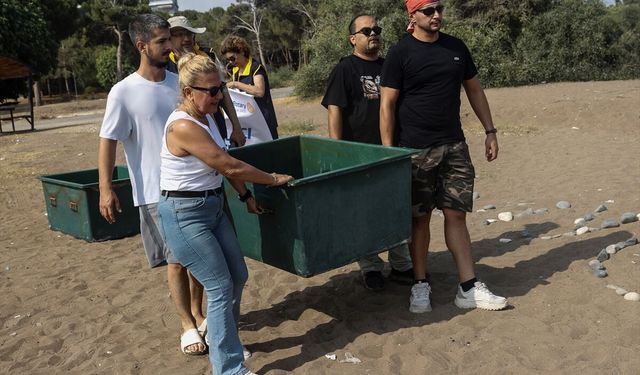 Mersin'de uydu takip cihazı takılan 2 yeşil deniz kaplumbağası denizle buluşturuldu