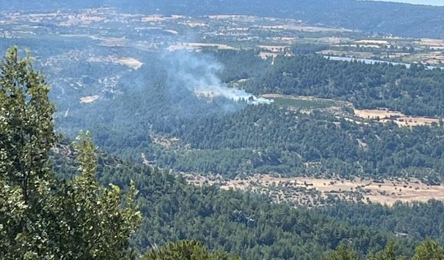 Mersin'de zirai alanda başlayıp ormana sıçrayan yangın söndürüldü