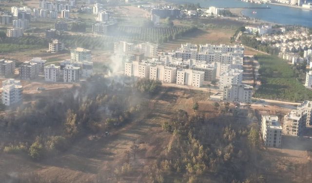 Mersin'in Silifke ilçesinde otluk alanda çıkan yangın kontrol altına alındı