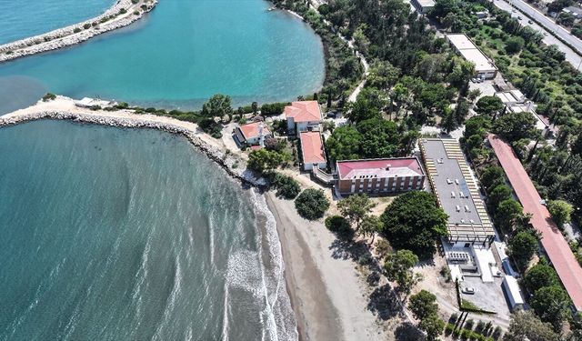 ODTÜ sahilinde deniz kaplumbağalarının yuvaları titizlikle korunuyor