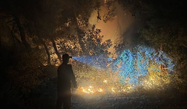 Defne’de Orman Yangını Paniği: Ekipler Kısa Sürede Söndürdü