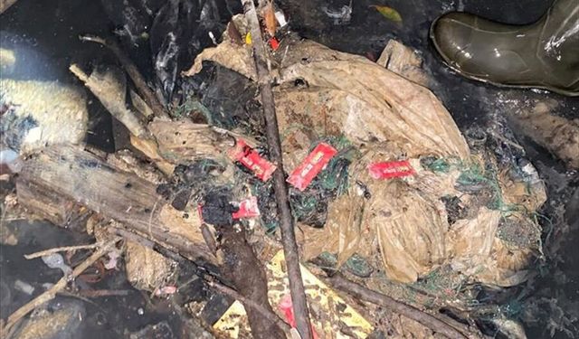 Alanya'da çevreyi kirleten otelle ilgili suç duyurusunda bulunuldu