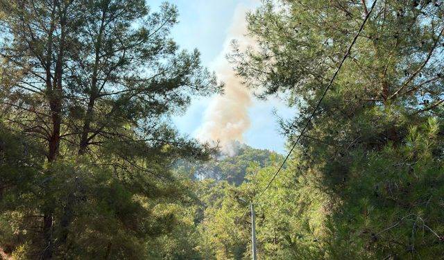 Alanya'da çıkan orman yangınına müdahale ediliyor
