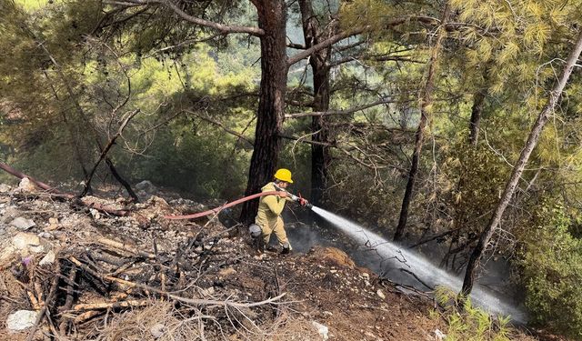 Alanya'da ormanlık alanda çıkan yangın söndürüldü