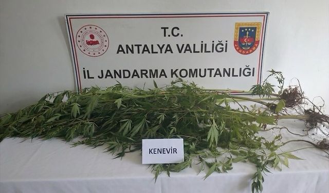 Alanya'da uyuşturucu operasyonunda 4 şüpheli yakalandı
