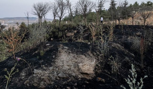 Ankara'da 2 ayda otluk ve ekili alanlarda 2 bin 242 yangın çıktı
