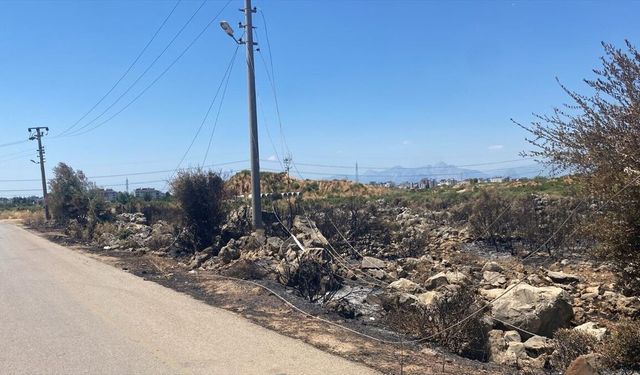 Antalya'da moloz dökerken telleri koparıp yangına neden olan sürücüye 115 bin lira ceza