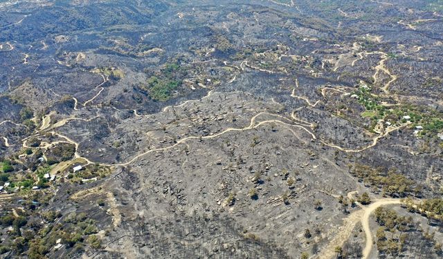Aydın-Çine, Balıkesir-Susurluk ve İzmir-Buca yangınları tamamen kontrol altına alındı