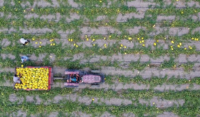 Bakan Yumaklı, 688 milyon 200 bin lira tarımsal destekleme ödemesinin bugün yapılacağını bildirdi