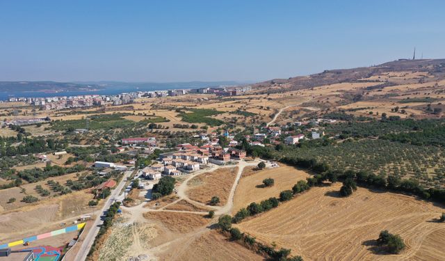 Biyoçeşitliliğe zarar veren orman yangınlarının önlenmesinde kuru ot temizliği önemli