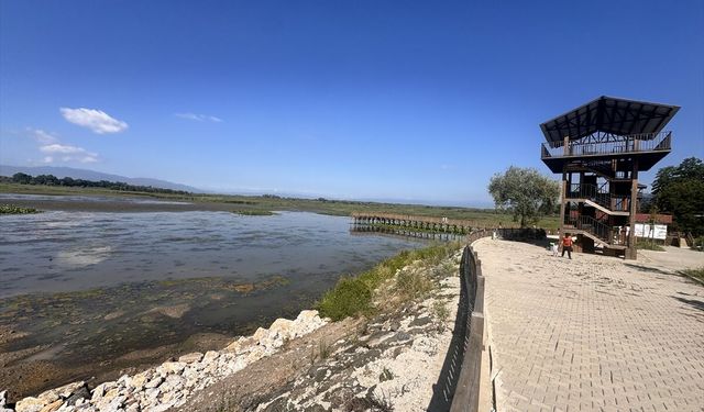 Efteni Gölü Kuş Cenneti hafta sonunda doğaseverleri ağırladı