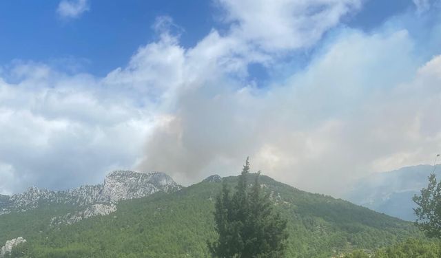 GÜNCELLEME 2 - Antalya'da çıkan orman yangınına müdahale ediliyor
