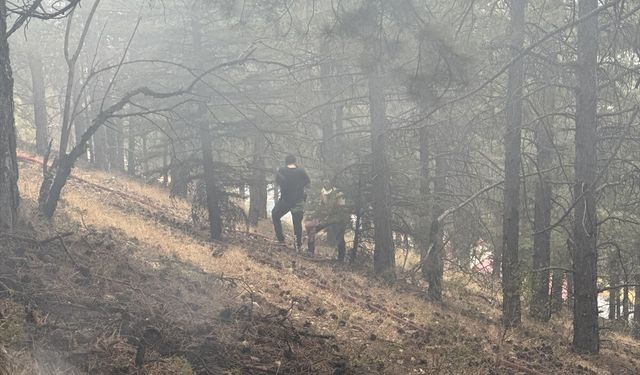 Kahramanmaraş'ta 8 farklı alanda çıkan orman yangınları söndürüldü