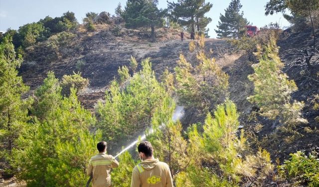 Kahramanmaraş'ta çıkan orman yangını kontrol altına alındı