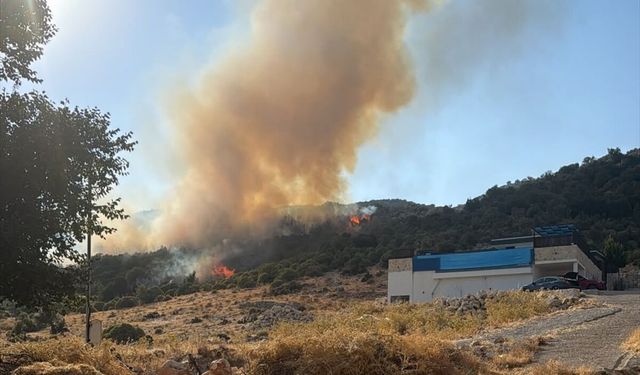 Kaş'ta makilik alanda çıkan yangına müdahale ediliyor