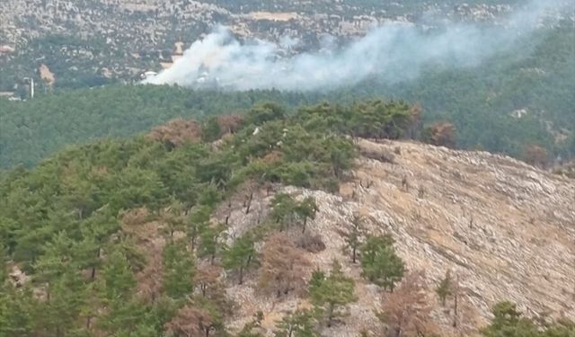 Mersin'de çıkan orman yangınları kontrol altına alındı