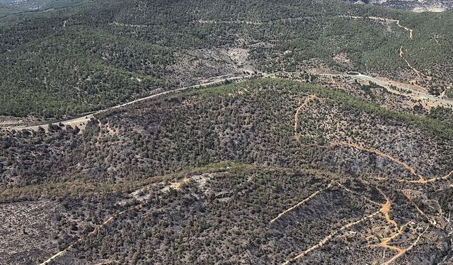 Mersin'de yanan ormanlık alan havadan görüntülendi