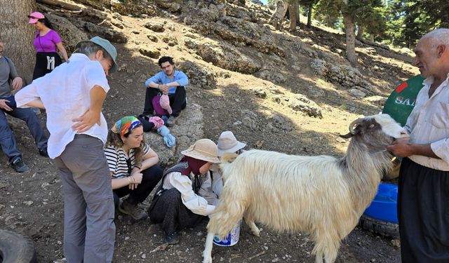 Osmaniye'de düzenlenen 'Çoban Meclisi Toyu' Yörükler ile akademisyenleri buluşturdu