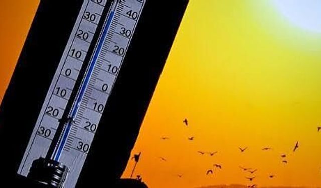 Yetkililerden Hayati Uyarı: Sıcak Saatlere Dikkat!
