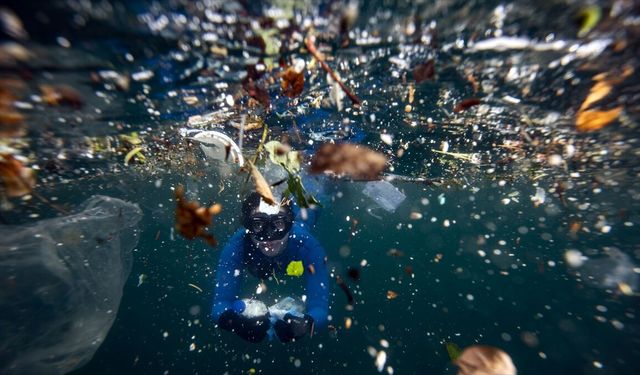 Sıfır Atık Vakfı, plastik kirliliğiyle mücadelede ortak yol haritası için çalıştay düzenleyecek