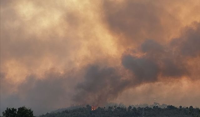 Adana'nın Kozan ilçesinde başlayıp İmamoğlu ve Aladağ ilçelerine sıçrayan orman yangınına müdahale sürüyor