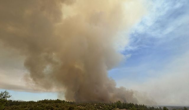 Antalya'da ormanlık alandaki yangına müdahale sürüyor