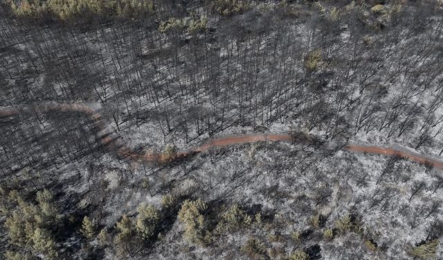 Antalya'da yanan ormanlık alanlar havadan görüntülendi