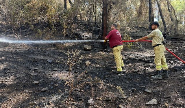 Antalya'nın Kumluca ilçesindeki orman yangınında soğutma çalışmaları yapılıyor