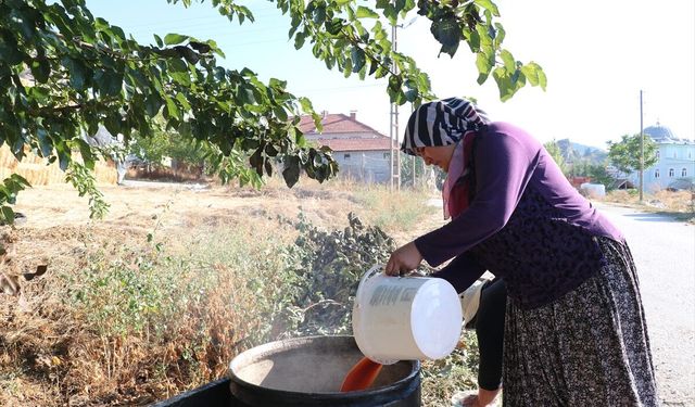 Burdur'da kara dimrit ve razaki üzümleri pekmeze dönüştürülüyor