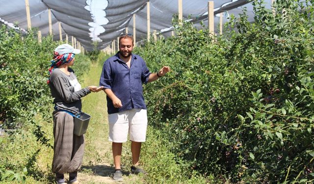 Çin'den döndü, ailesinin atıl arazisini 'ihracat' bahçesine dönüştürdü