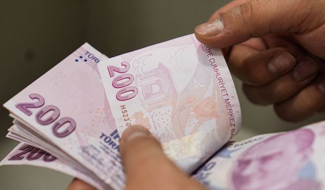 Engelli ve eski hükümlü vatandaşlar için hibe desteği başvuruları başladı
