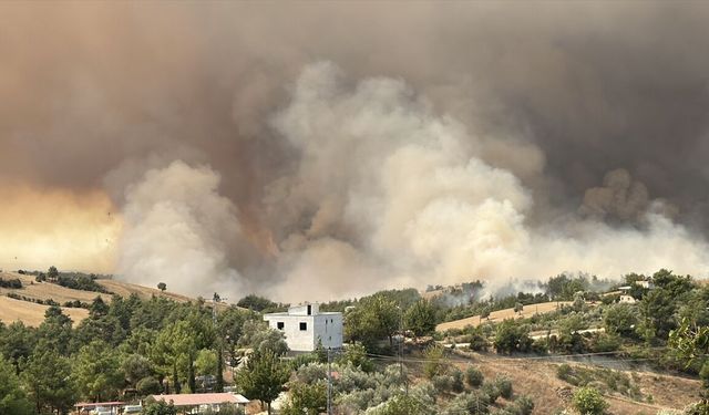 GÜNCELLEME 2 - Adana'nın Kozan ilçesinde iki noktada çıkan orman yangınlarından biri kontrol altında