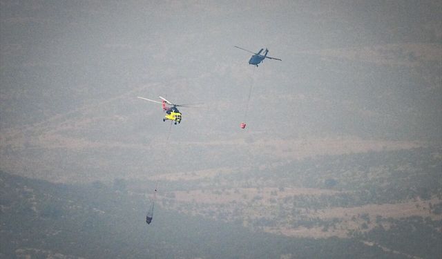 GÜNCELLEME - Adana'daki orman yangını kontrol altına alındı