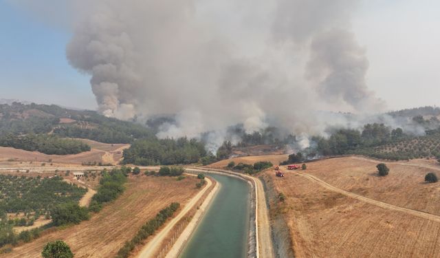 GÜNCELLEME - Adana'daki orman yangını kontrol altına alınmaya çalışılıyor