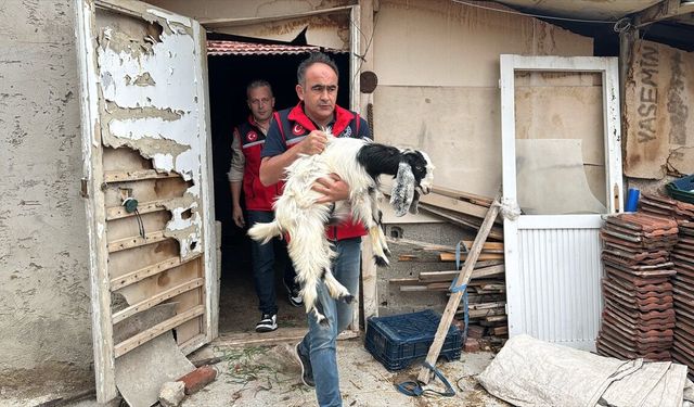 Isparta'da 'Yerel Düzey Fırtına Kaynaklı Afet Saha ve Masabaşı' tatbikatı yapıldı