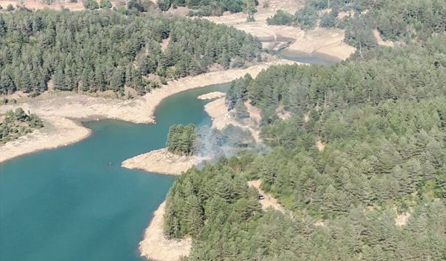 Kahramanmaraş'ta çıkan orman yangını söndürüldü