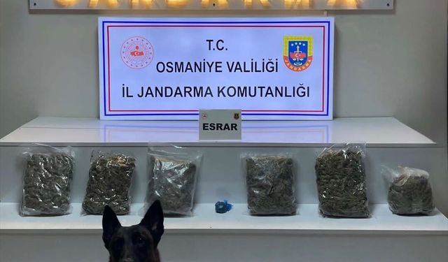 Osmaniye'de yayla evinde 2 kilo 800 gram esrar ele geçirildi
