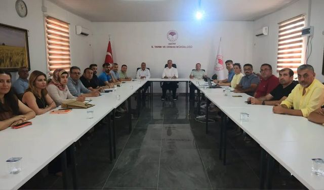 Hatay’ın 2027 Yılı Bitki Sağlığı Planı Hazırlandı!