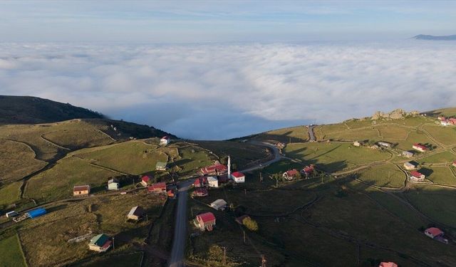 Trabzon'un 'bulutlara komşu' yaylaları sonbahar renklerine bürünüyor