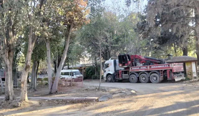 AÇKD: Antakya’nın Asırlık Ağaçları Kesiliyor: "İzin Vermeyeceğiz!"
