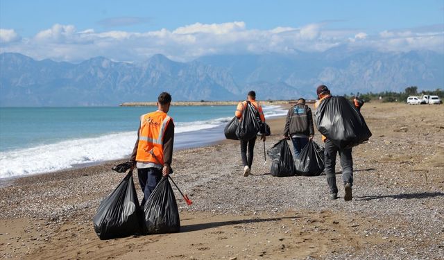 Antalya'da caretta carettaların yuvalama alanı Kumköy Sahili'nde temizlik yapıldı