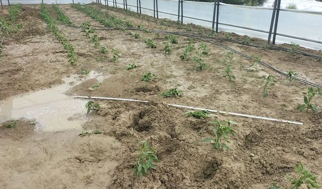 Antalya'nın Manavgat ilçesinde hortum nedeniyle 4 sera hasar gördü