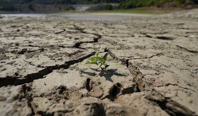 BM kuruluşlarından El Nino'ya karşı 'erken ve ciddiyetle harekete geçilmesi' çağrısı