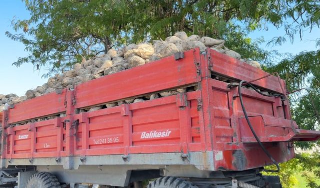 Burdur Şeker Fabrikasında 87 bin ton kristal şeker üretilmesi bekleniyor
